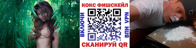 COCAIN Fish Scale Дальнереченск