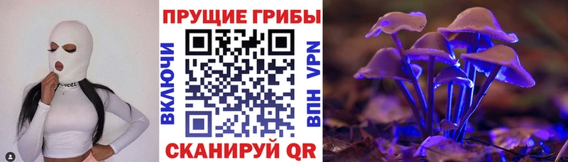 Галлюциногенные грибы Psilocybine cubensis дарнет шоп Дальнереченск