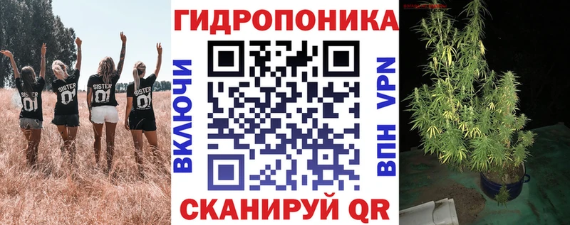 дарнет шоп  Дальнереченск  Каннабис сатива 